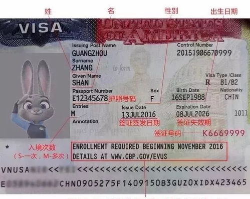 2018未成年人出入境美国新规定,关于海关申报 签证检查等事项需特别注意